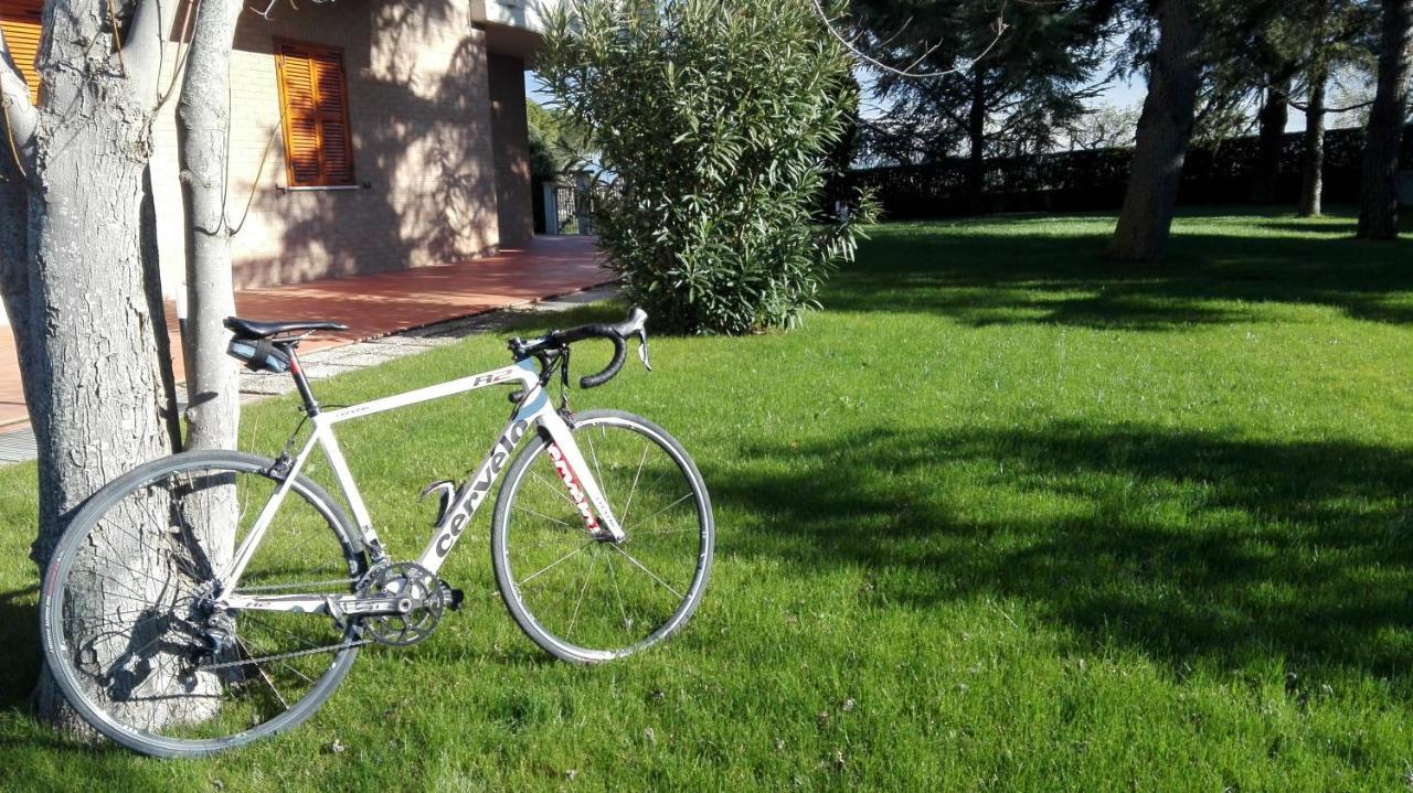 Apartamento Country House Bike Friendly Famiglia Belleggia Porto SantʼElpidio Exterior foto