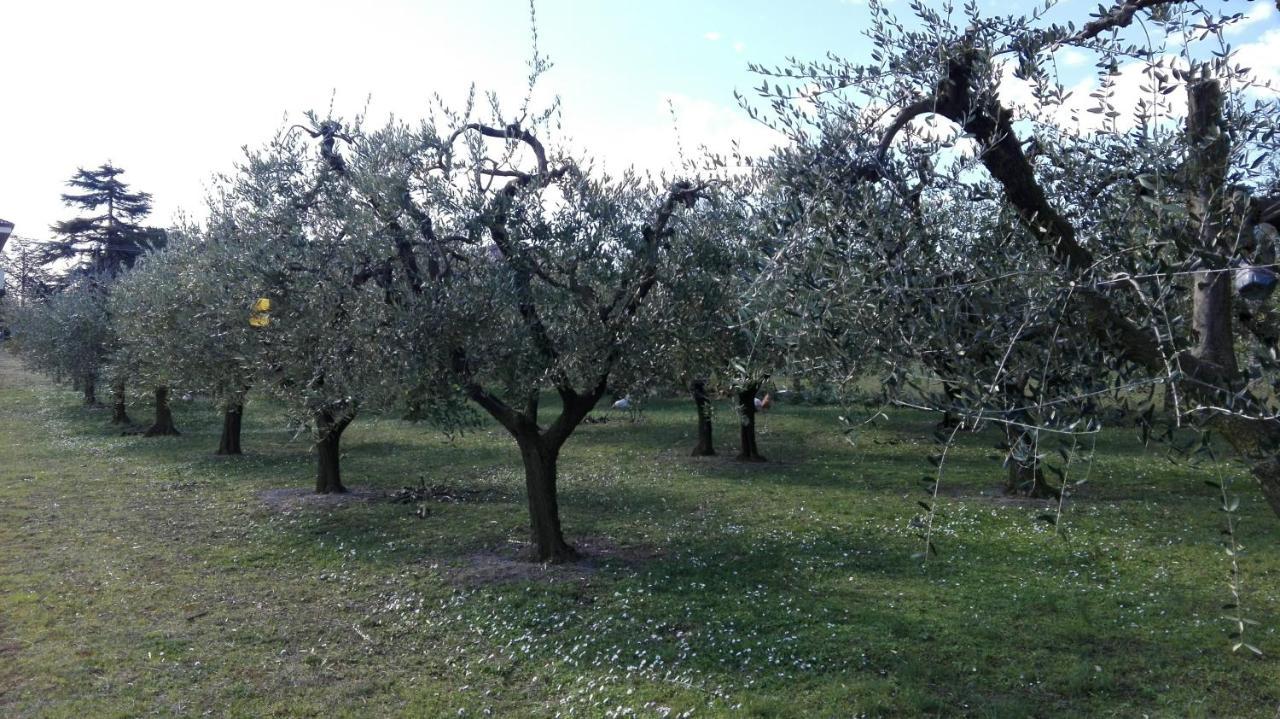 Apartamento Country House Bike Friendly Famiglia Belleggia Porto SantʼElpidio Exterior foto